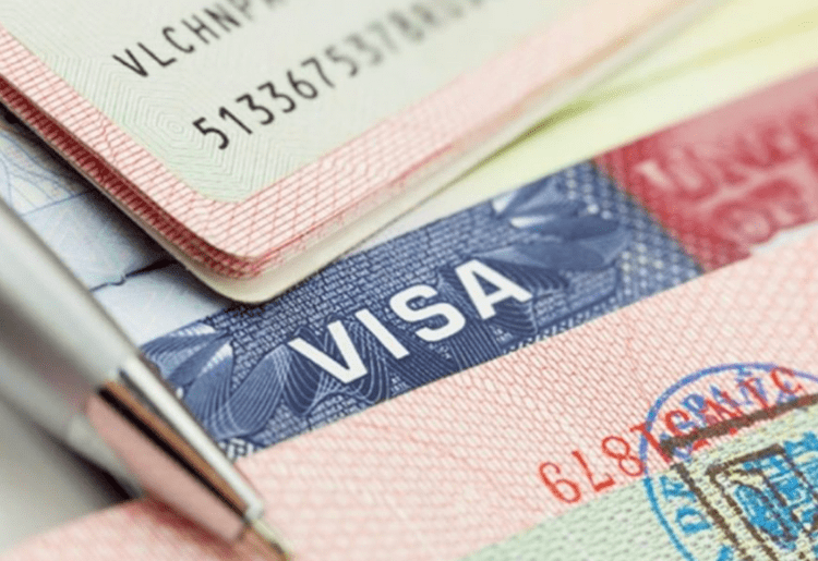 uae visit visa price aed