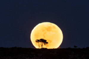 UAE: It’s The Final Supermoon Of 2022 On Thursday!