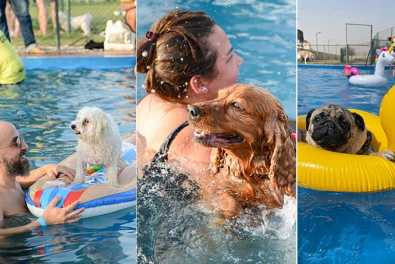 UAE’s Biggest Pool Pawty Is Coming Back This October