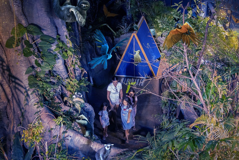 the green planet 'Indoor' Rainforest Camping Experience