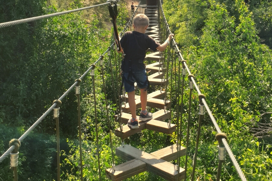 The newly opened hiking trail at Mushrif Park promises an unforgettable experience for both novice hikers and seasoned professionals alike.