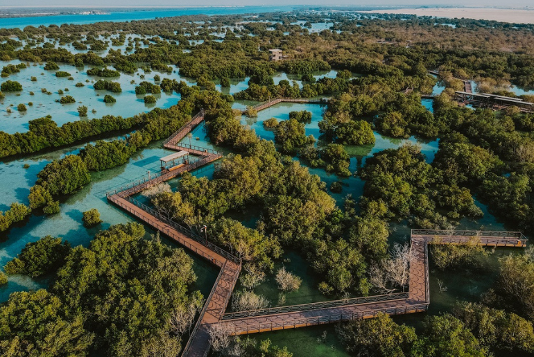 Celebrate World Mangrove Day This July With These 13 Stunning Mangroves Around UAE