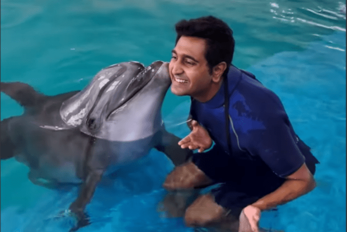 This Place Let’s You Swim, Play And Hug The Cutest Dolphins & No, It’s NOT Atlantis