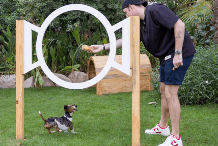 There Is A New Pet-Friendly Play Park In Dubai And It’s Inside A Hotel