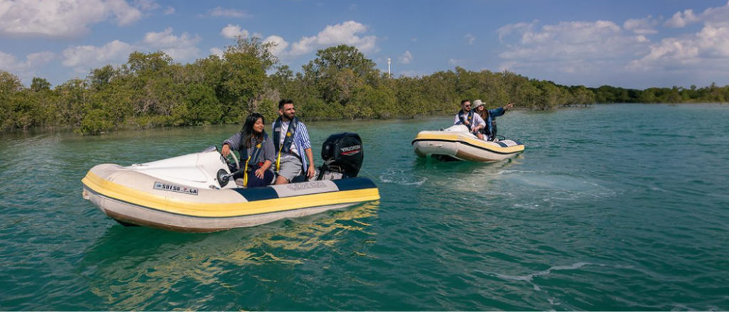 Explore Abu Dhabi's Mangroves In An All-New Boating Experience