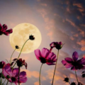 UAE To See 'Flower Moon' Happening In Less Than 10 Days