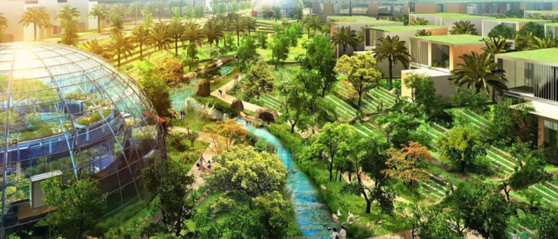 #ProudMoment – 6 Initiatives The UAE Has Taken To Protect The Environment