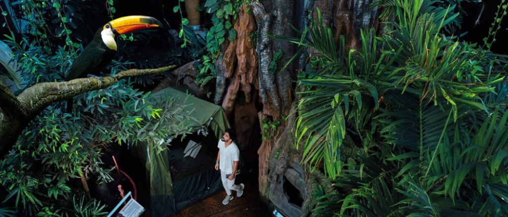 Go Camping At An Indoor Rainforest In Dubai This Summer!