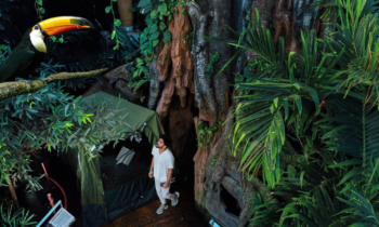 Go Camping At An Indoor Rainforest In Dubai This Summer!