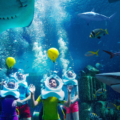 Discover All The Fun & Free Activities You Can Do During Summer Of Sharks At Aquaventure World