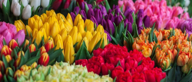 Get Bouquets From Just AED 3 At This Dubai Florist