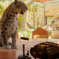 Have your Breakfast In This Zoo & You Can Feed Elephants And More Animals For Less Than AED 100!