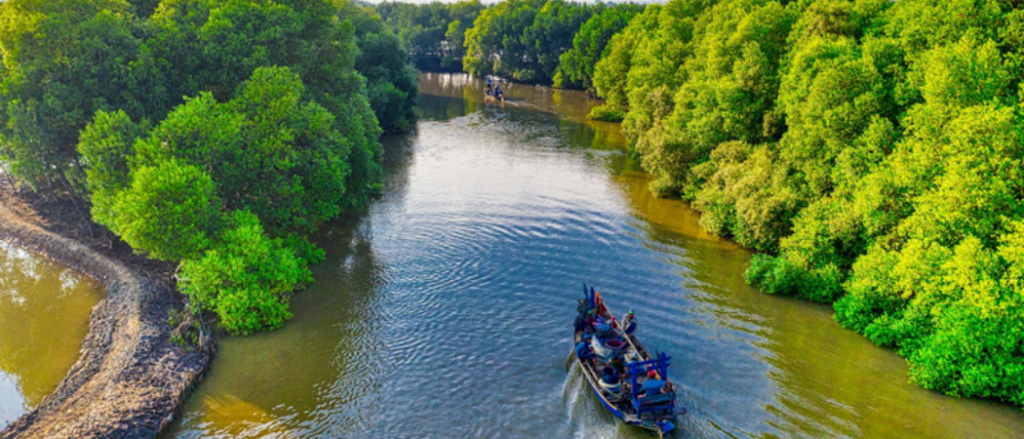 10 Lushous Green Spots You Can't Miss If You Want To Explore Nature In UAE